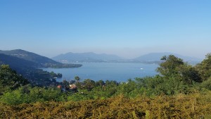 The view from the apartment.