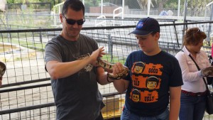 Dad holding the snake and me patting it