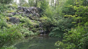 central park waterfall