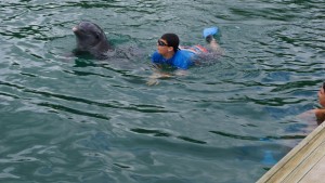 Me swimming with a dolphin