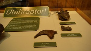 utaraptor stuff.