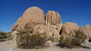 Joshua Tree National Park