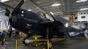 A plane with foldable wings